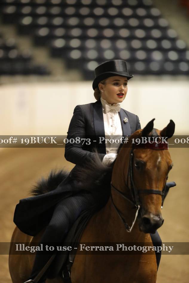 Proof 19BUCK_00873