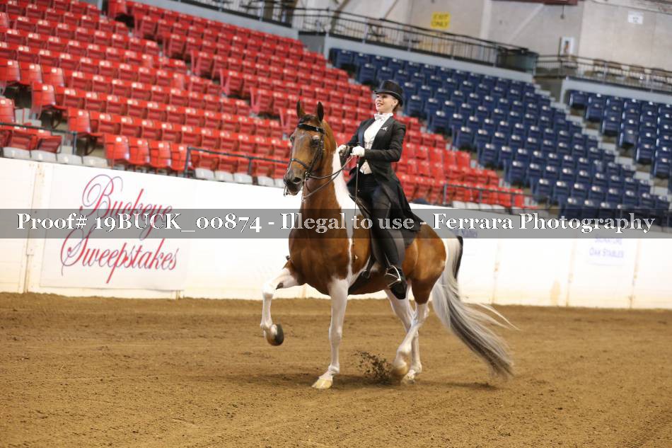 Proof 19BUCK_00874