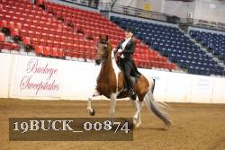 19BUCK_00874 proof