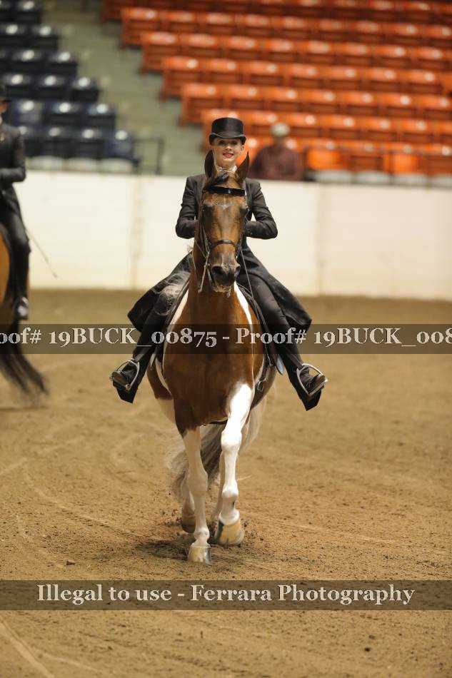 Proof 19BUCK_00875