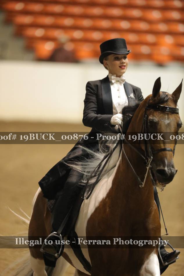 Proof 19BUCK_00876