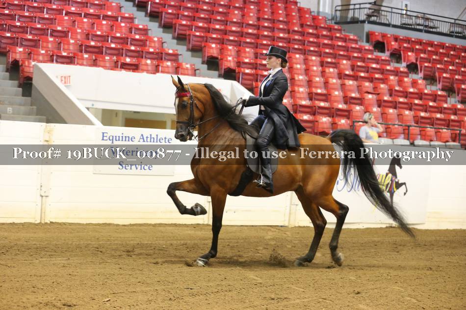 Proof 19BUCK_00877