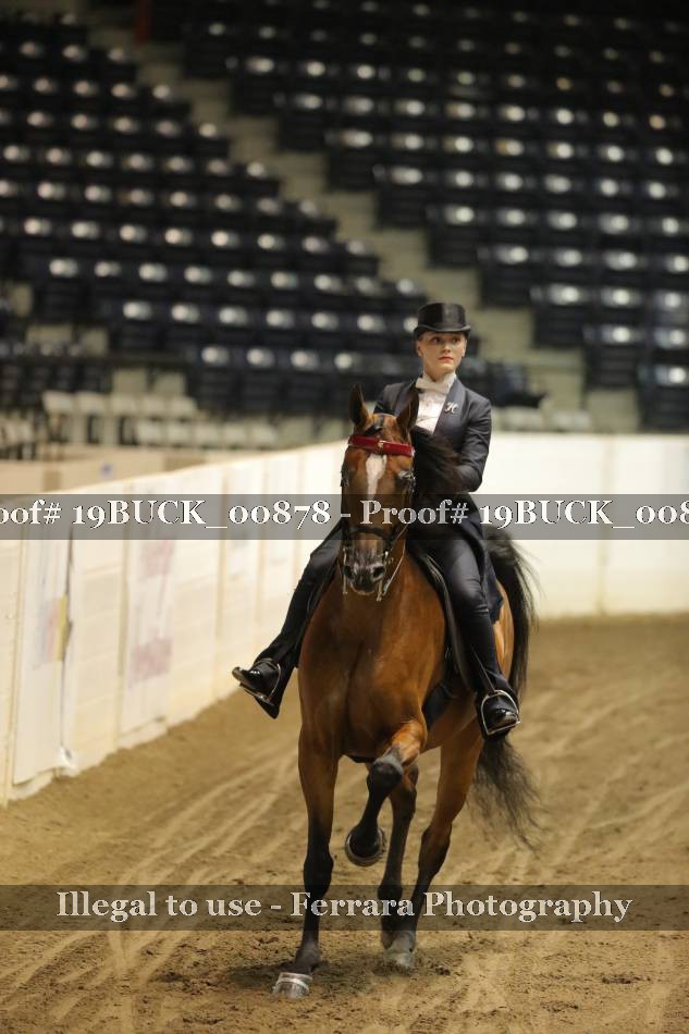 Proof 19BUCK_00878