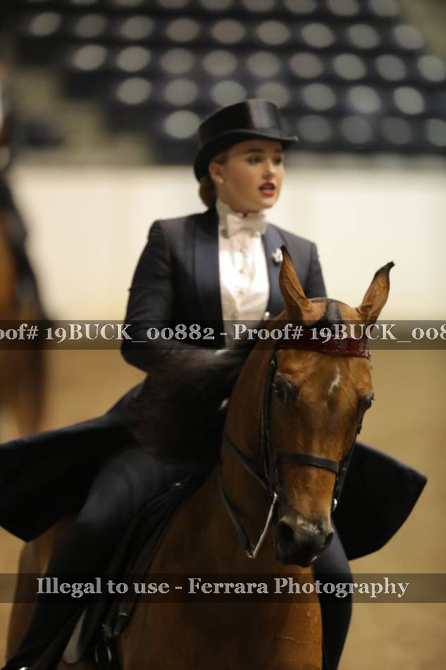 Proof 19BUCK_00882
