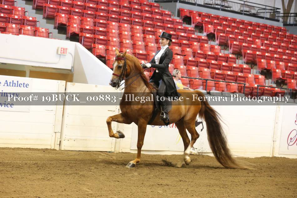 Proof 19BUCK_00883