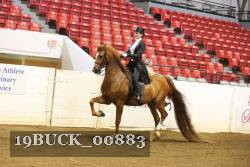 19BUCK_00883 proof