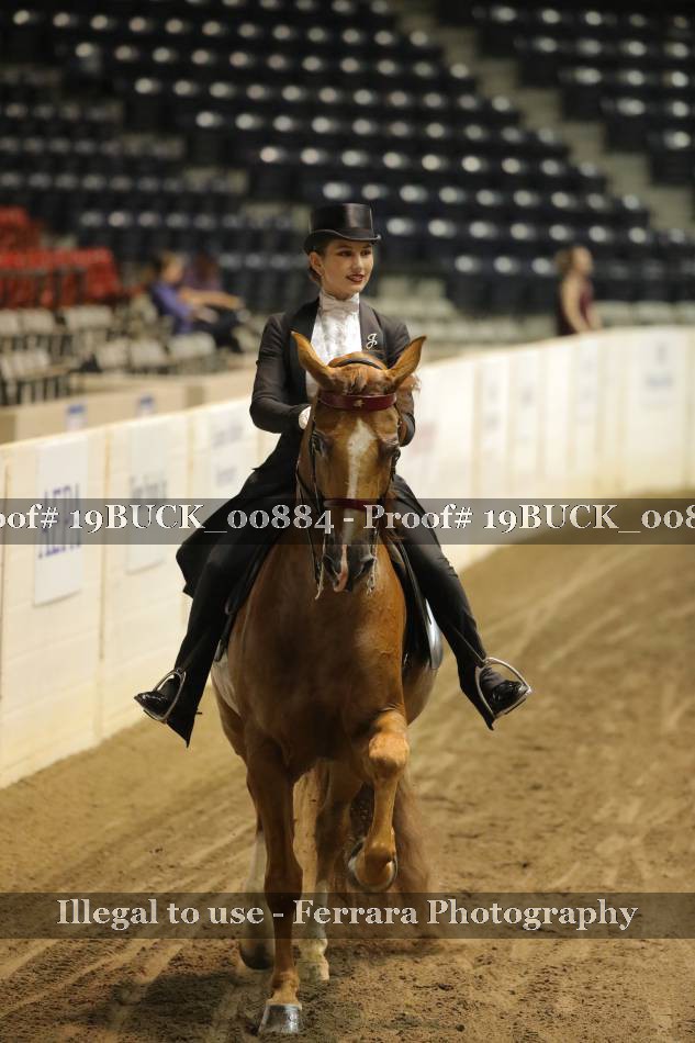 Proof 19BUCK_00884