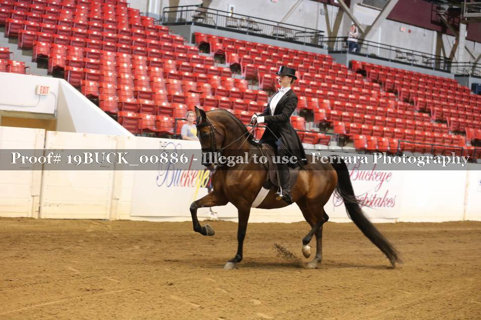 Proof 19BUCK_00886