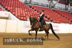 19BUCK_00886 proof