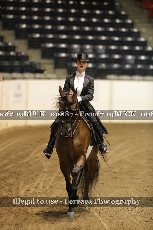 Proof 19BUCK_00887