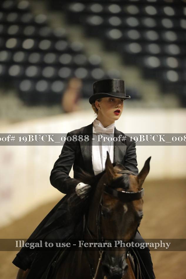 Proof 19BUCK_00888