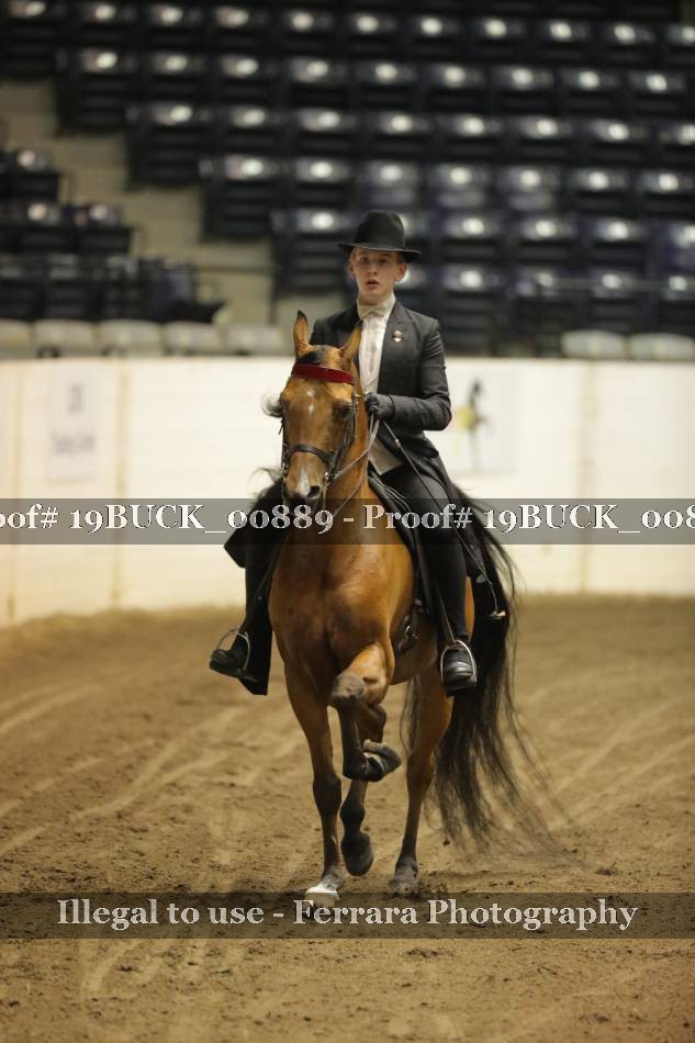 Proof 19BUCK_00889