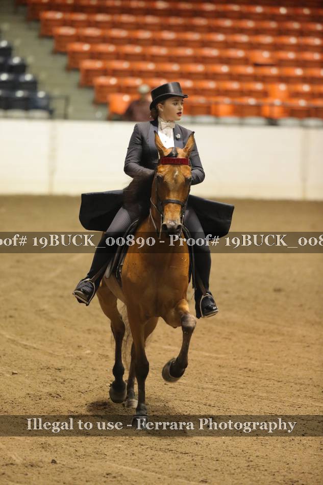 Proof 19BUCK_00890