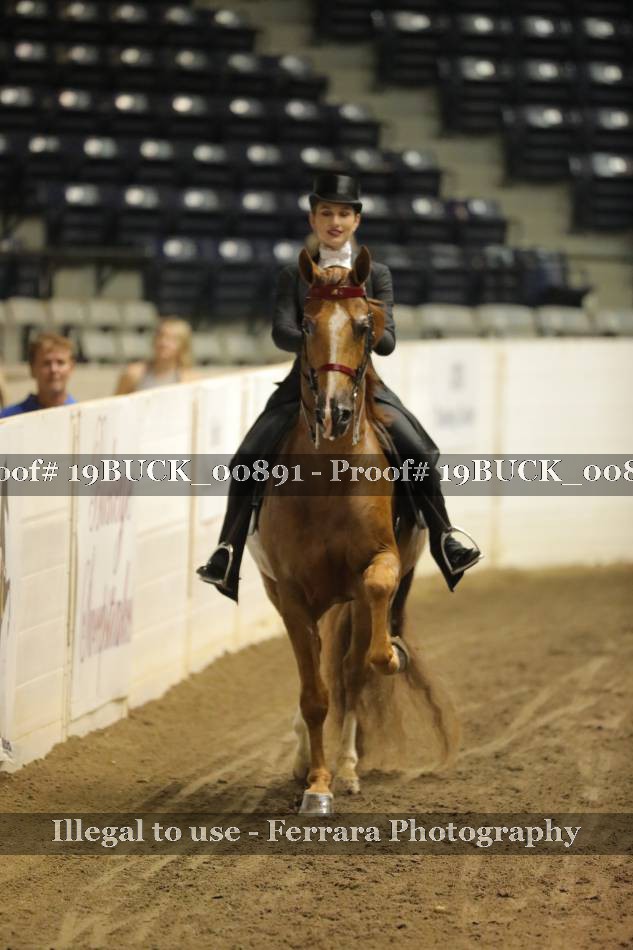 Proof 19BUCK_00891