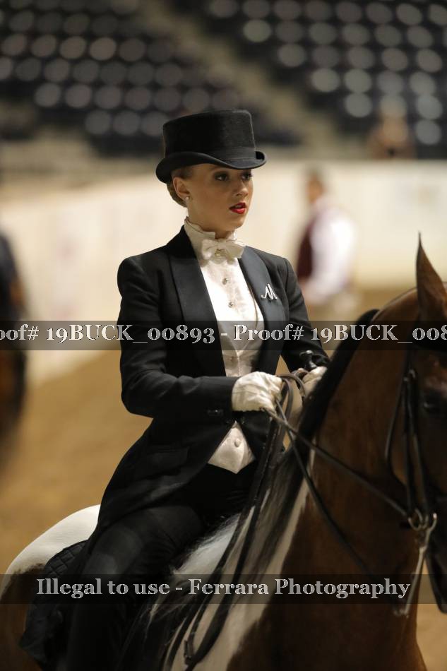 Proof 19BUCK_00893