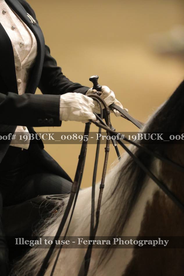 Proof 19BUCK_00895
