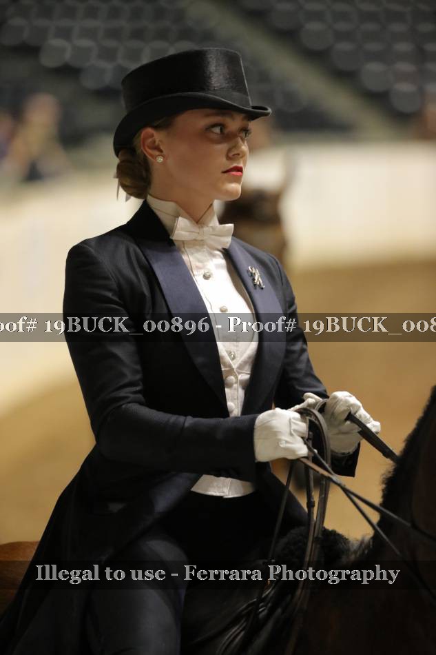 Proof 19BUCK_00896