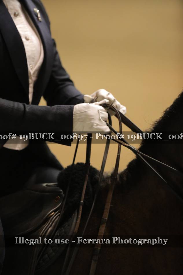 Proof 19BUCK_00897