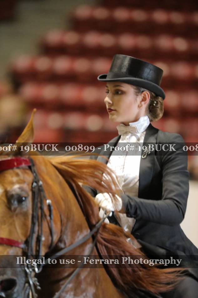 Proof 19BUCK_00899