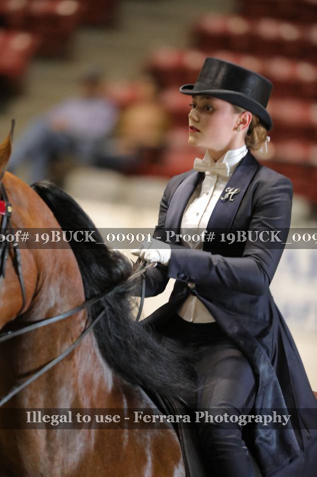 Proof 19BUCK_00901
