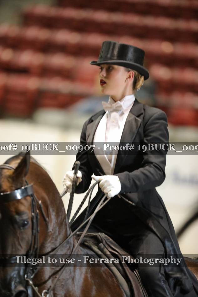 Proof 19BUCK_00907