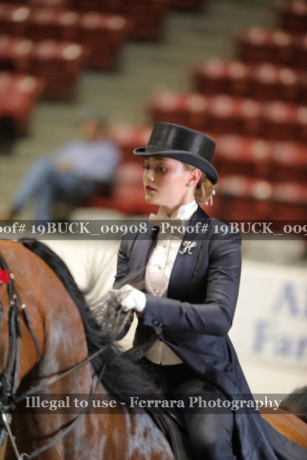 Proof 19BUCK_00908