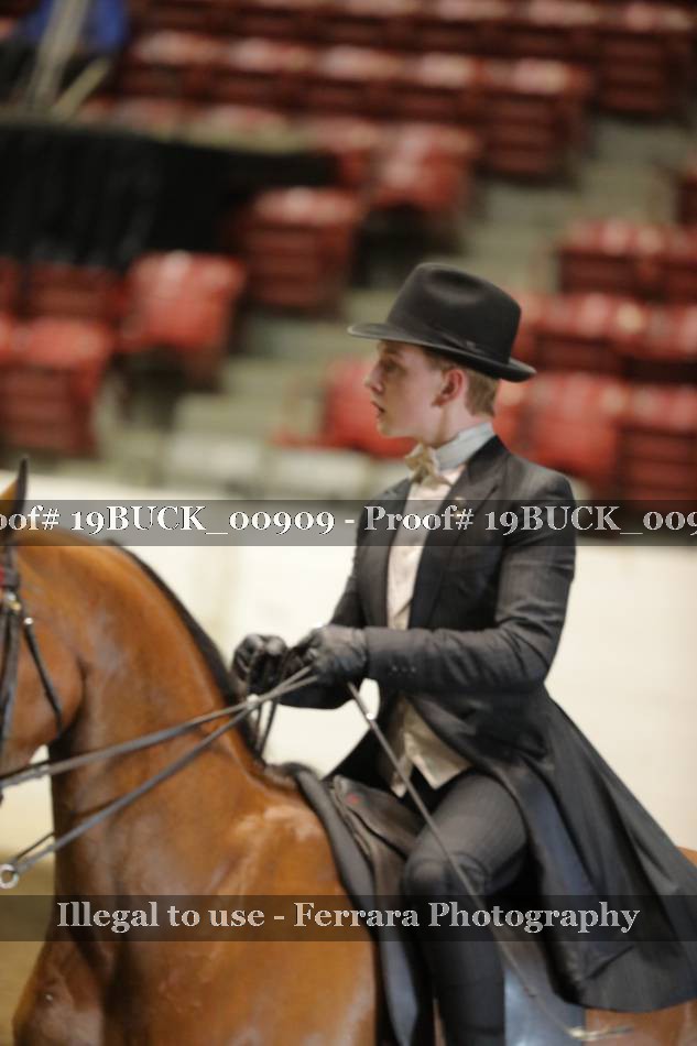 Proof 19BUCK_00909