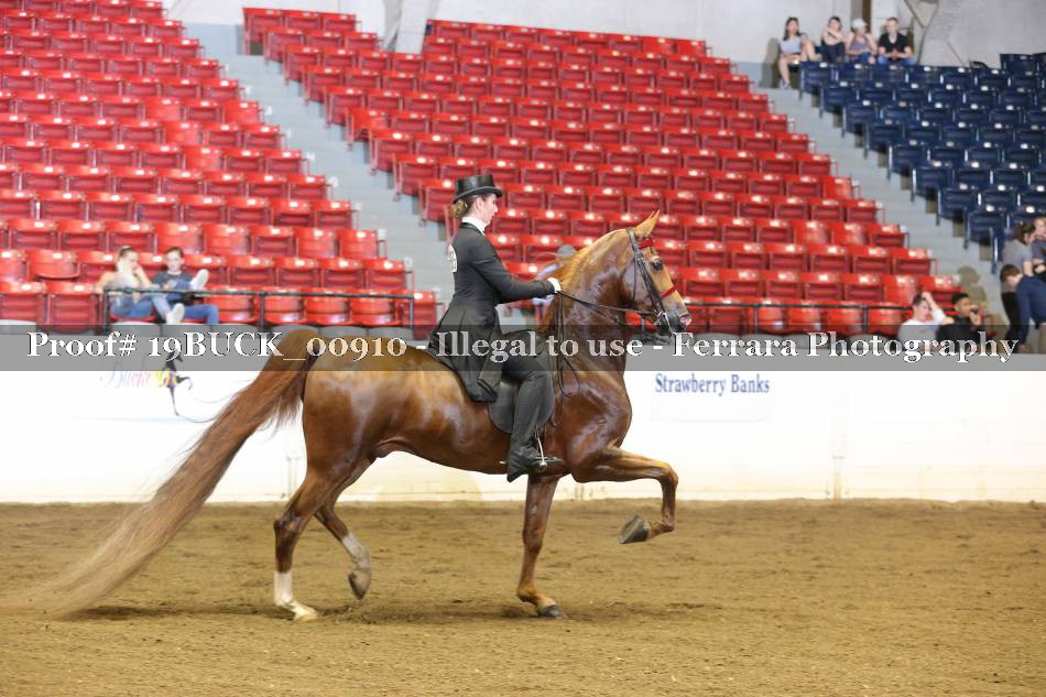 Proof 19BUCK_00910