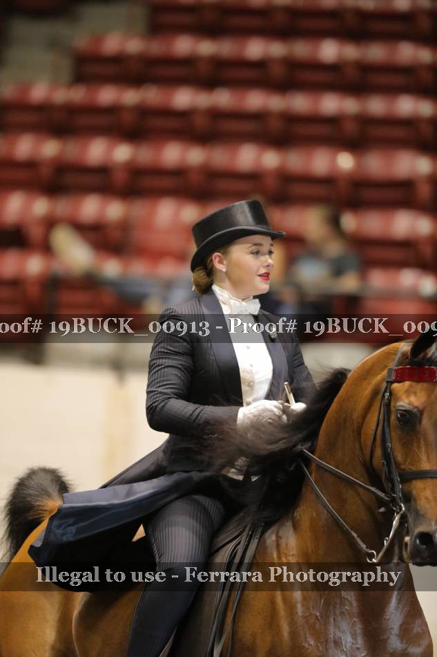 Proof 19BUCK_00913