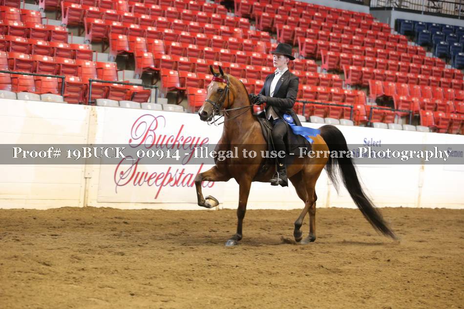 Proof 19BUCK_00914