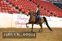 19BUCK_00914 proof
