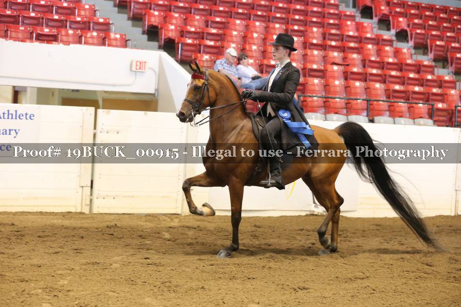 Proof 19BUCK_00915