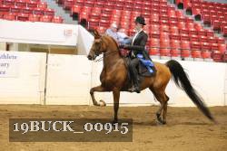19BUCK_00915 proof