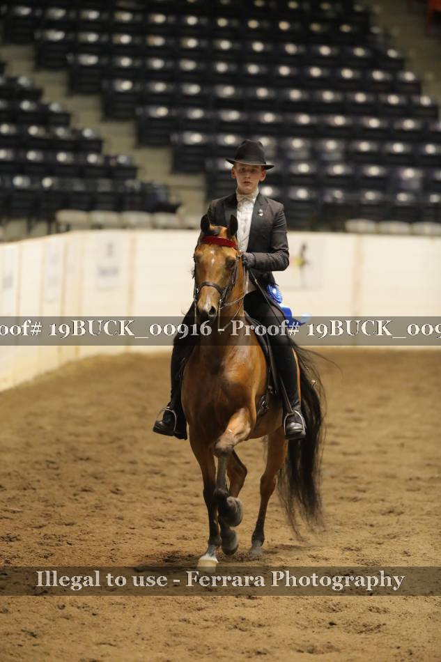 Proof 19BUCK_00916