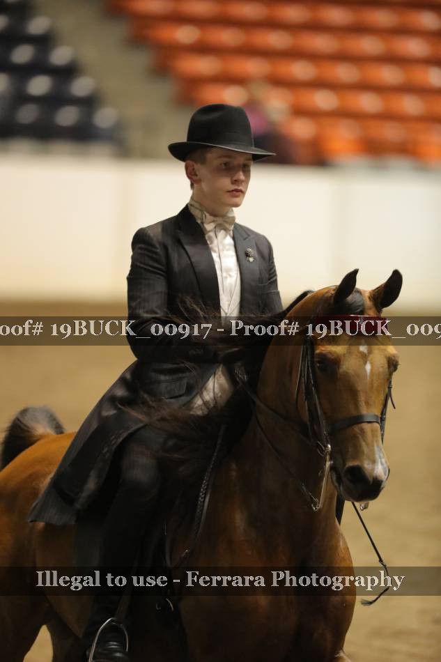 Proof 19BUCK_00917