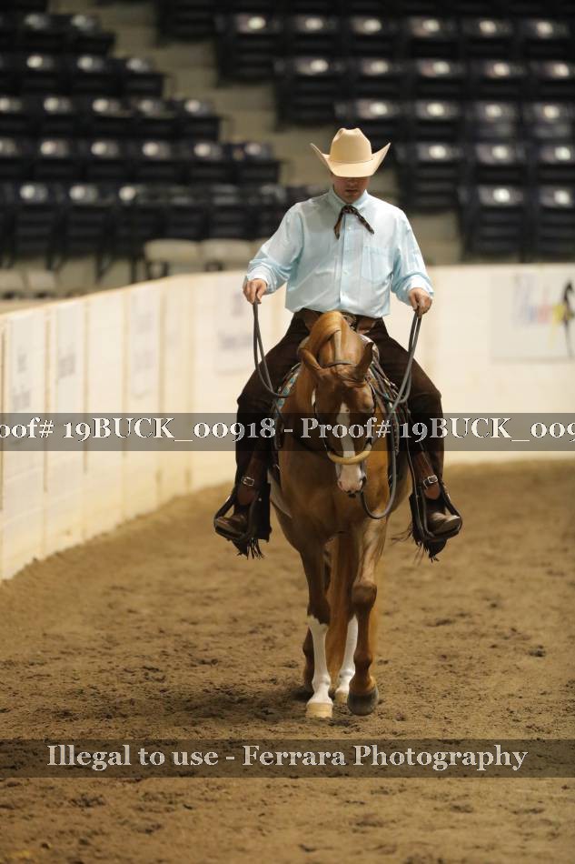 Proof 19BUCK_00918