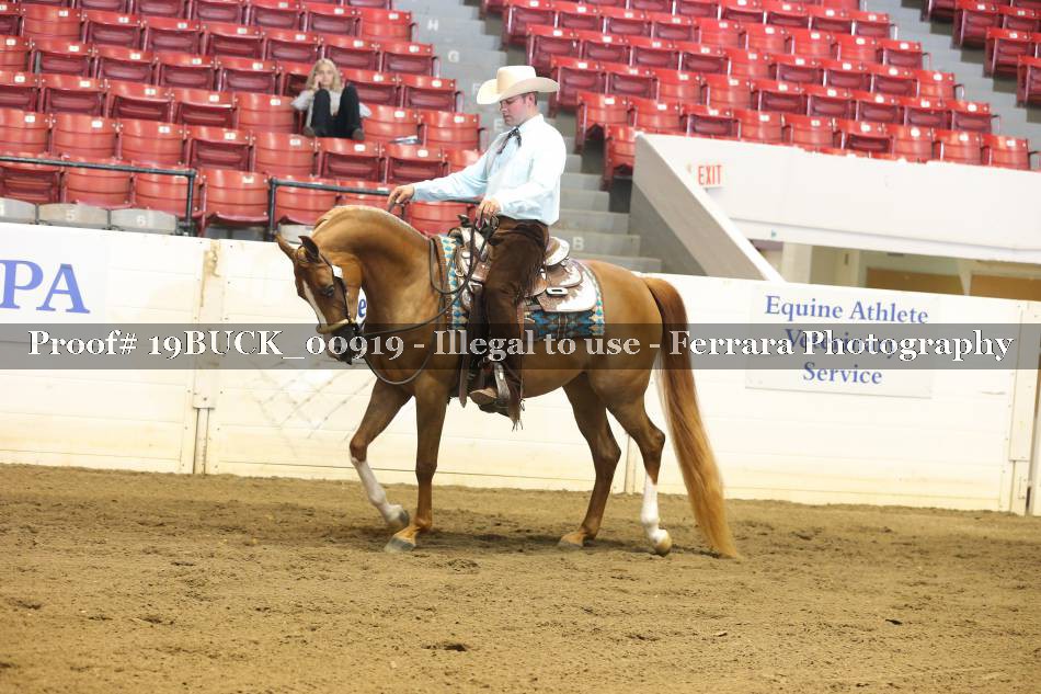 Proof 19BUCK_00919