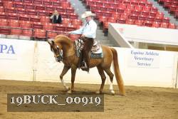 19BUCK_00919 proof