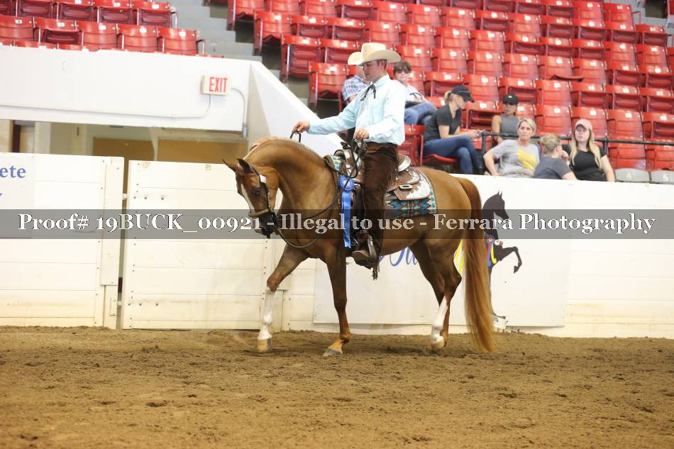 Proof 19BUCK_00921
