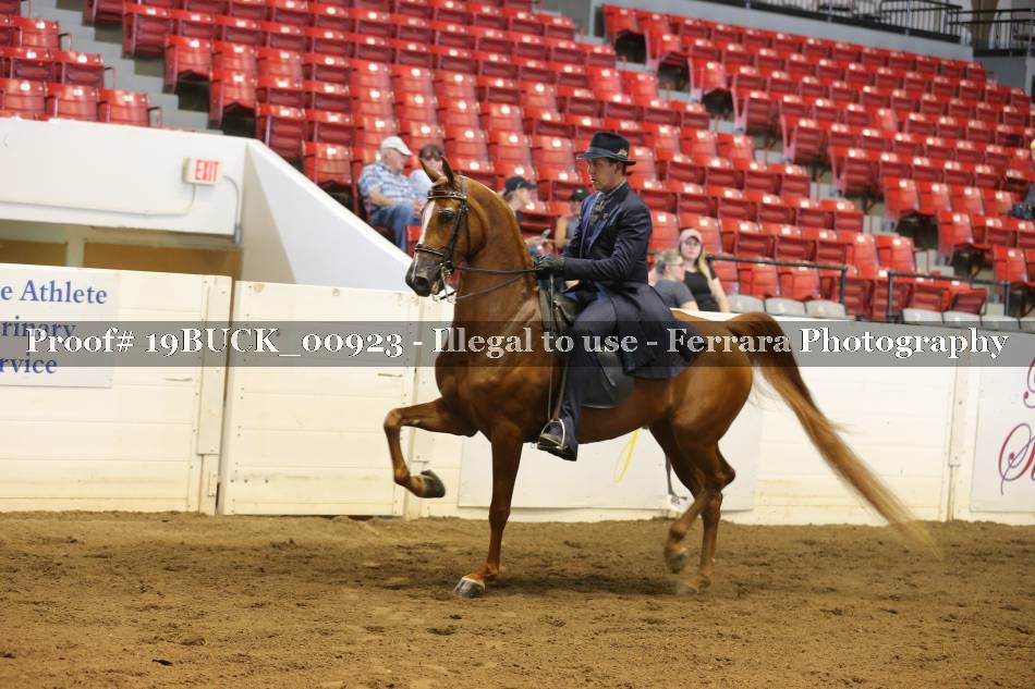 Proof 19BUCK_00923