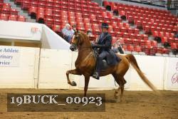19BUCK_00923 proof