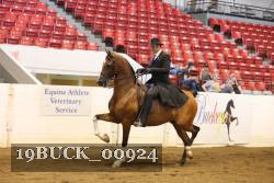 19BUCK_00924 proof