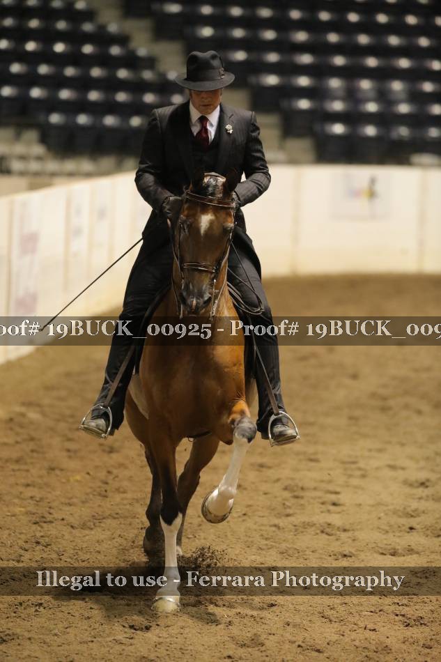 Proof 19BUCK_00925