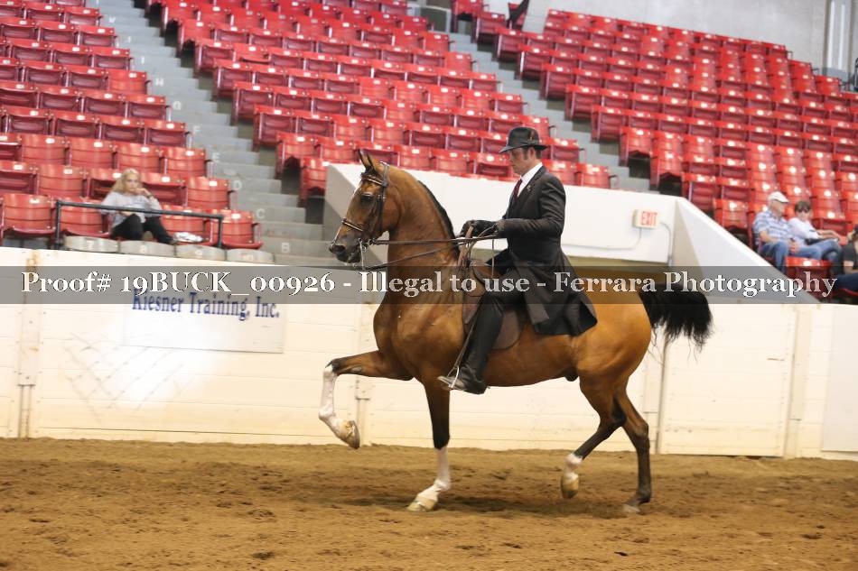 Proof 19BUCK_00926