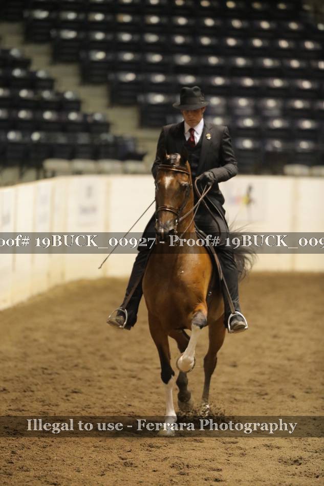 Proof 19BUCK_00927