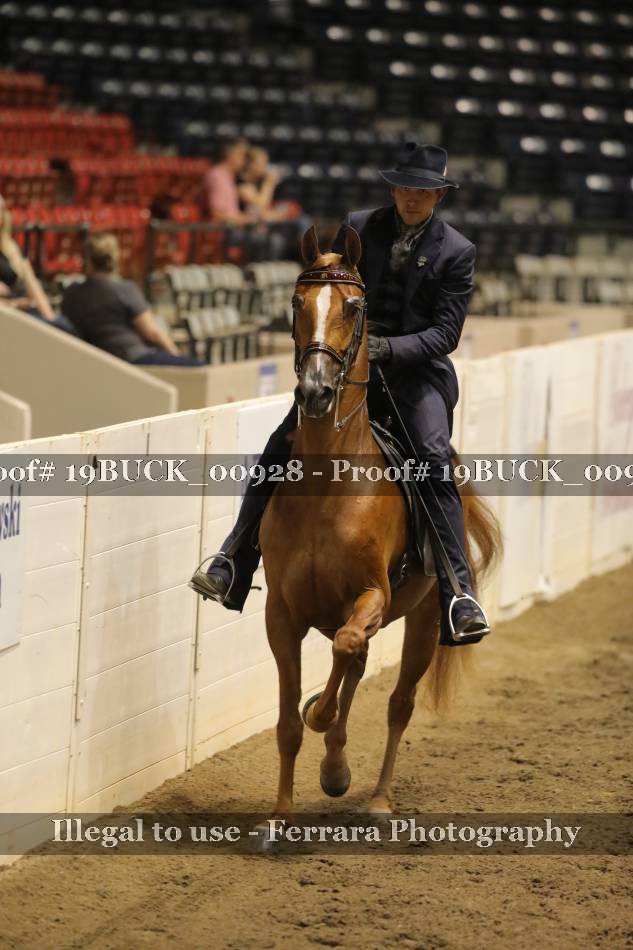 Proof 19BUCK_00928