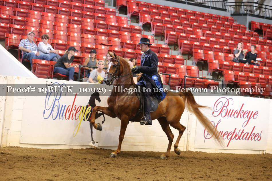 Proof 19BUCK_00929