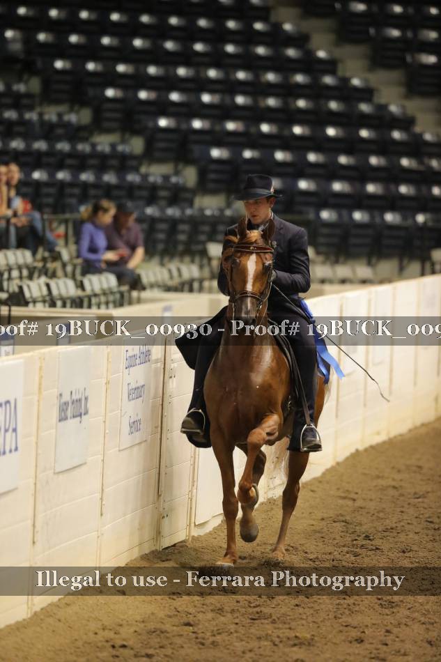 Proof 19BUCK_00930