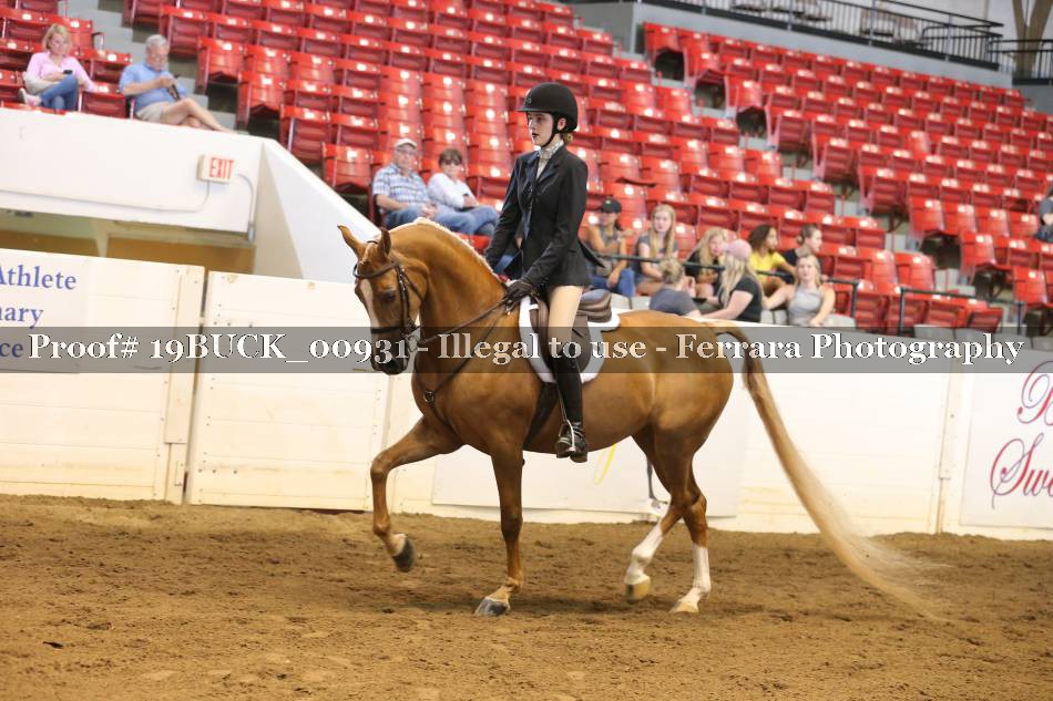 Proof 19BUCK_00931