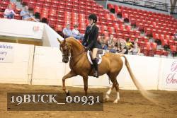 19BUCK_00931 proof